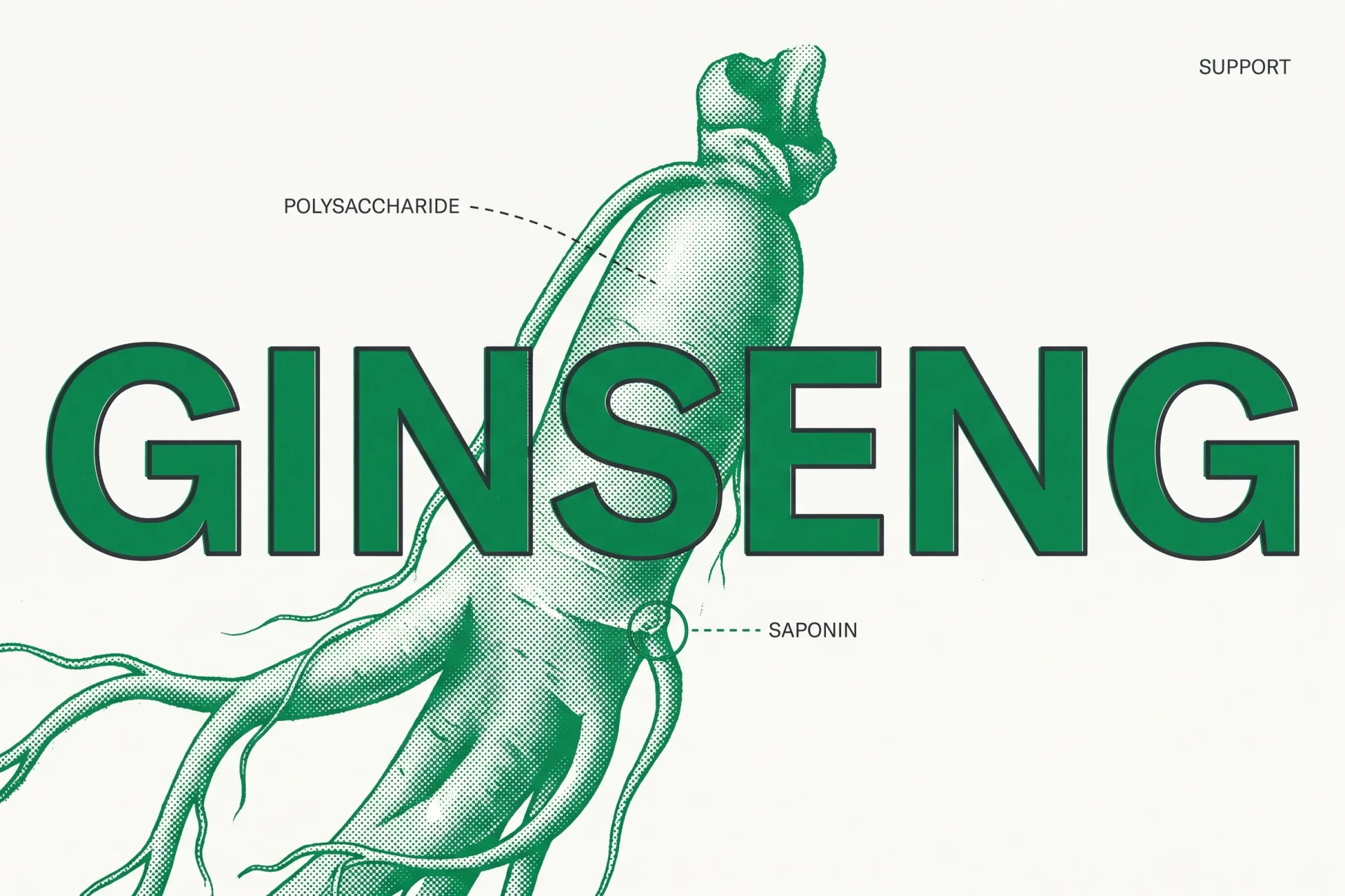 Ginseng polysaccharide and saponin structure editorial diagram
