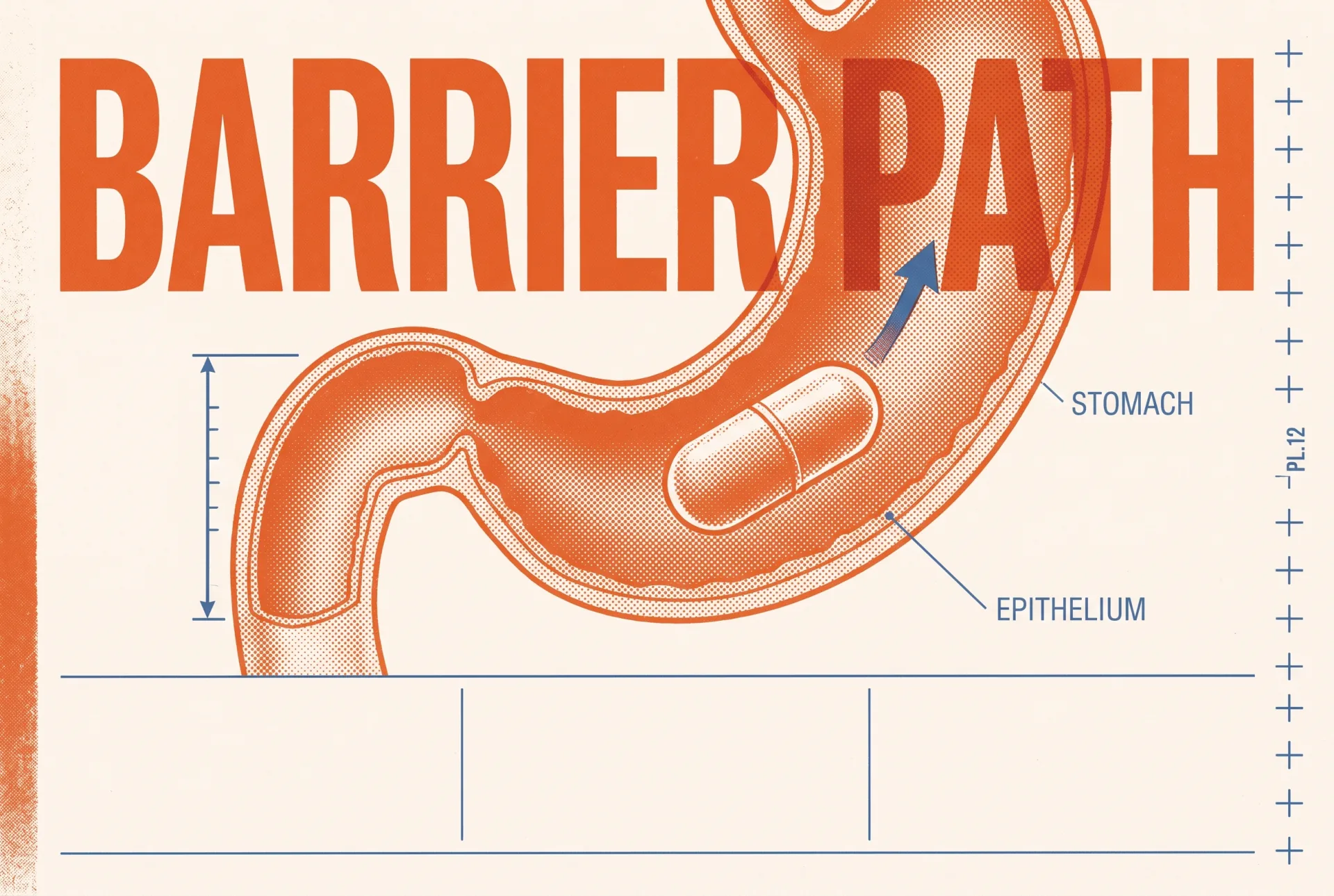 BARRIER PATH 타이포가 들어간 2도 리소그래프 편집 이미지