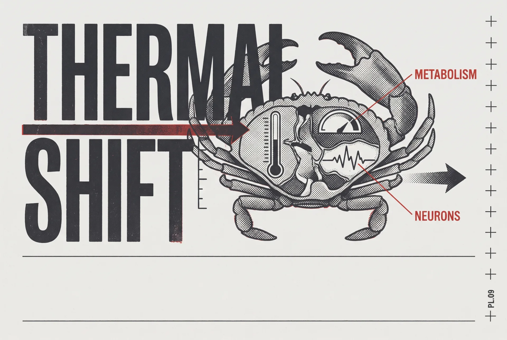 THERMAL SHIFT 타이포가 들어간 2도 리소그래프 편집 이미지