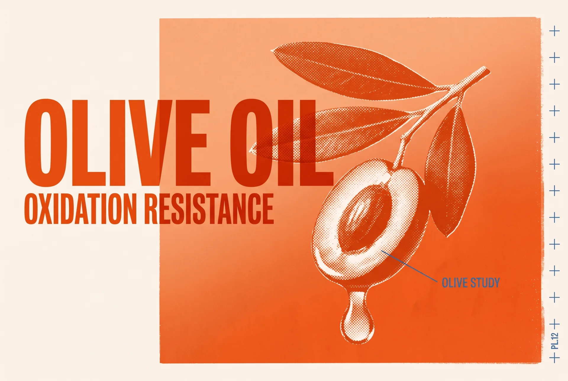 OLIVE OIL 타이포가 들어간 2도 리소그래프 편집 이미지