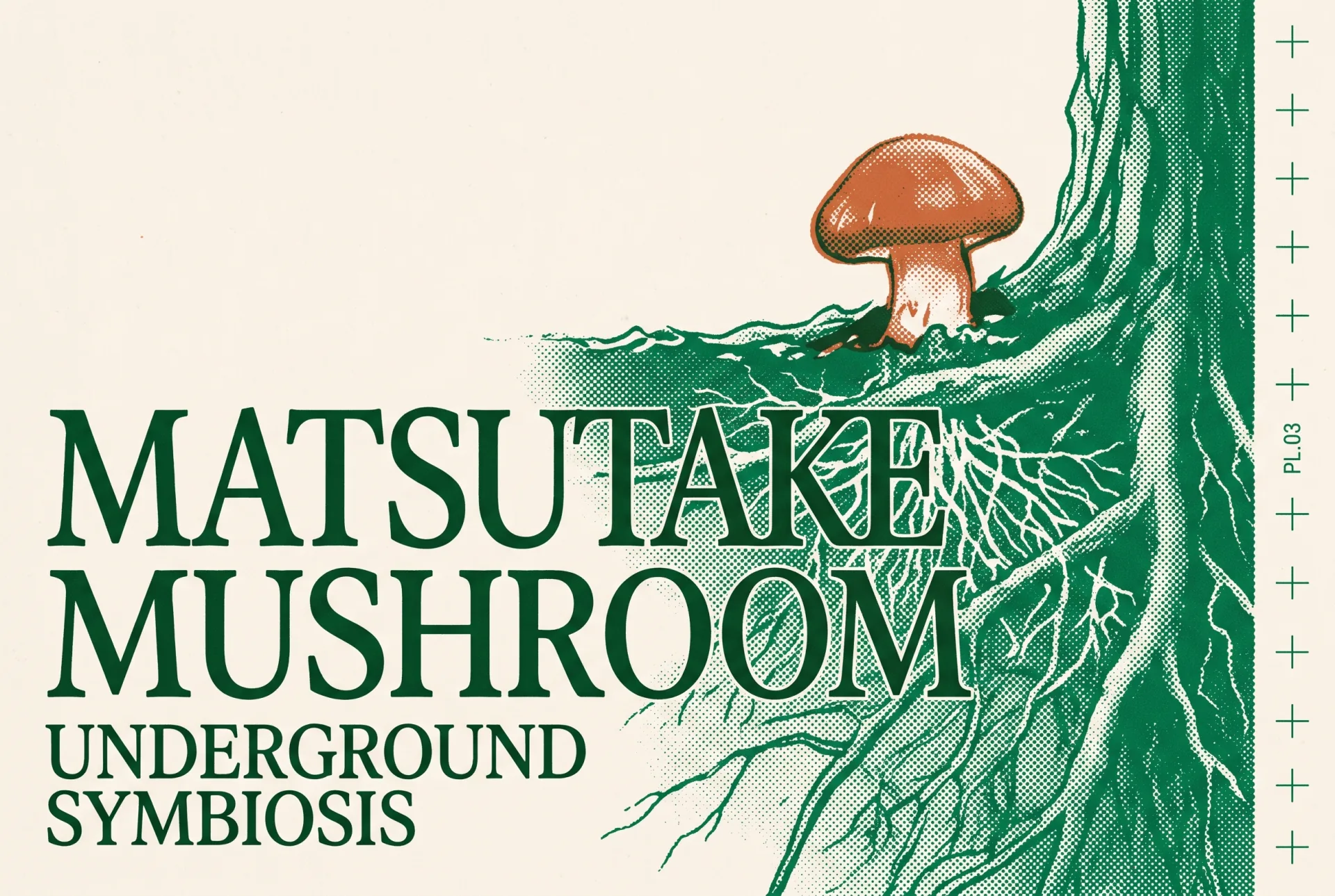 MATSUTAKE MUSHROOM 타이포가 들어간 2도 리소그래프 편집 이미지