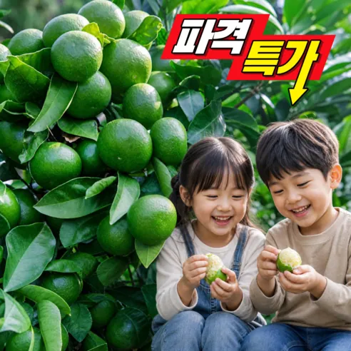 [오픈초특가] 산지직송 고당도 청귤