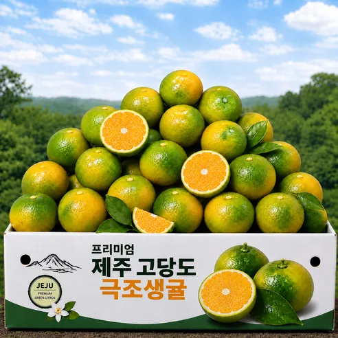[단독초특가] 제주 프리미엄 특품 청귤 풋귤