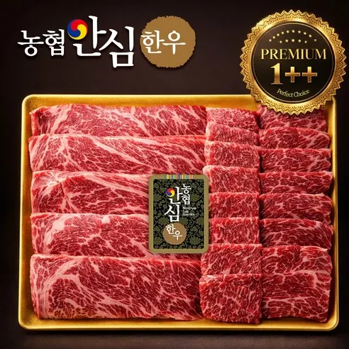 [농협안심한우] 프리미엄 1++ 투플 구이용 세트 무항생제 소고기 600g