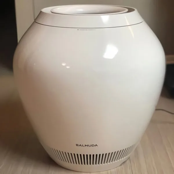 발뮤다 가습기 ERN-1100SD